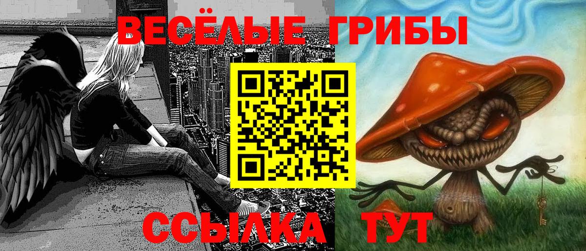 Псилоцибиновые грибы мицелий  Вход с VPN  Галлюциногенные грибы Psilocybine cubensis  Урюпинск 